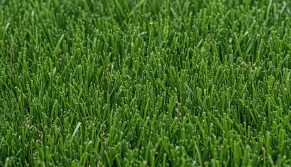 C4 polymer, C4 + C6 hybrid and C6 in artificial grass: what are and why do they determine the actual quality of the product