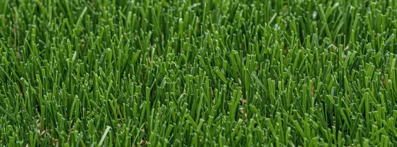 C4 polymer, C4 + C6 hybrid and C6 in artificial grass: what are and why do they determine the actual quality of the product