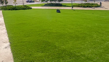 Frequently asked questions about the best artificial grass