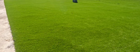 Frequently asked questions about the best artificial grass