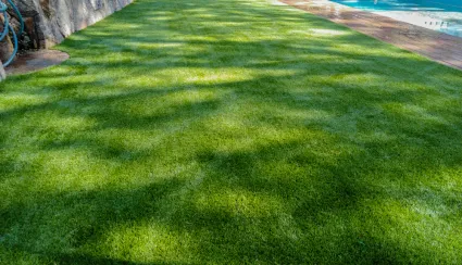 C&oacute;mo elegir el c&eacute;sped artificial adecuado. Gu&iacute;a t&eacute;cnica para tomar una decisi&oacute;n objetiva