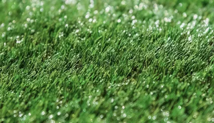 How to care for artificial grass?: Tips to keep in mind