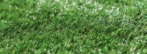 How to care for artificial grass?: Tips to keep in mind