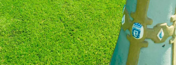 Entrevas pools install Sumigran Everest artificial grass