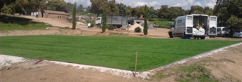 Gazon artificiel 6 NATIONS pour terrains de rugby