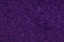 04-violeta.jpg