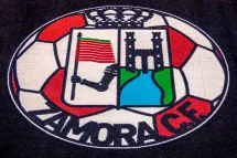 cesped-artificial-logotipo-zamora-cf1.jpg