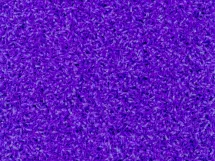 MORADO