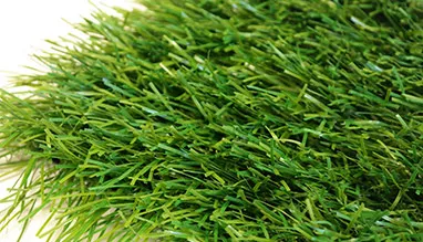 SIX NATIONS artificial grass