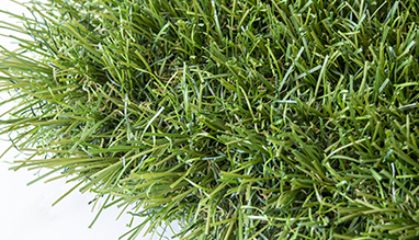 EXCELLENCE artificial grass