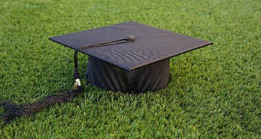 Experts in artificial grass