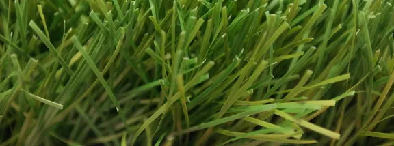 RUGBY 60-14 artificial grass