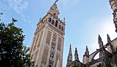 Artificial grass in Seville